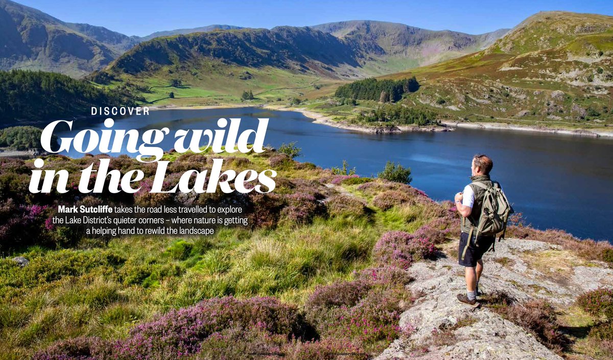 Looking to escape the crowds visiting the @lakedistrictnpa this summer? Check out my feature in the current issue of @CountryfileMag for the inside line on quieter Lakeland destinations off the beaten track where #naturerecovery and #sustainabletourism go hand in hand.