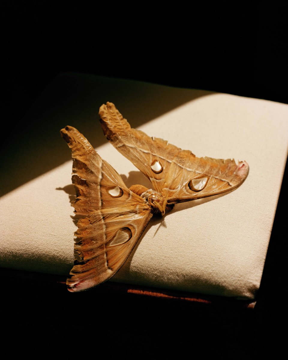 Espacio ARTiculado tweet media