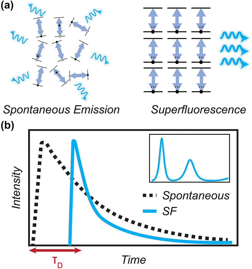 From our latest issue:

The future of quantum technologies: superfluorescence from solution-processed, tunable materials

#superfluorescence
#superradiance
#nanocrystal

degruyter.com/document/doi/1…