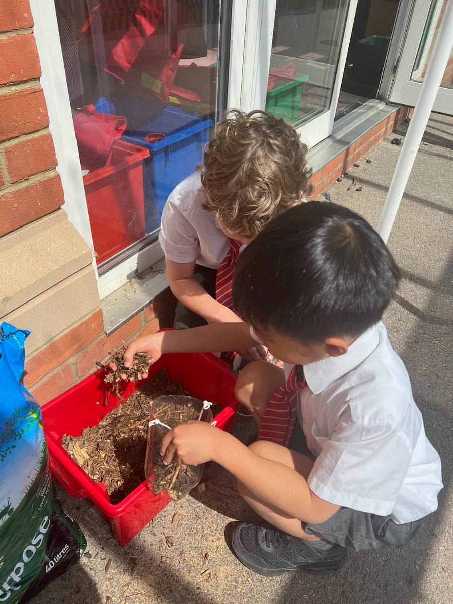 BGS_LowerSch's tweet photo. Year 2 have been planting poppy seeds in recycled bottles ... we cannot wait to see them grow #BGS_Science #BGS_Year2 #greenfingers https://t.co/7B3Lf96nZs