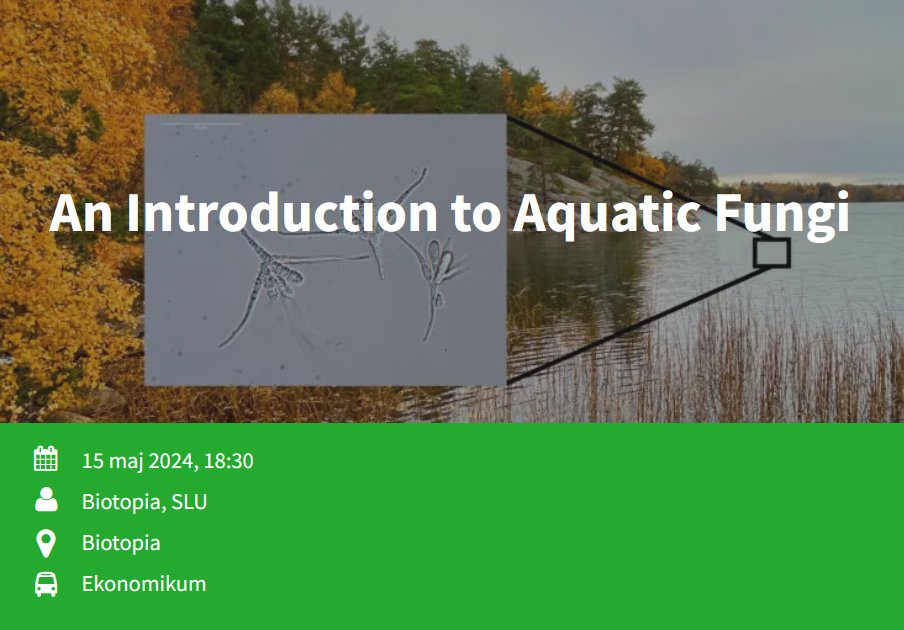 #FUNACTION coordinator @jand_bio will talk in a few hours about Aquatic Fungi👇

What are aquatic fungi and what do they do? Why and how should we protect them?

Event streamed here: youtube.com/live/P2NrY_3Zw…

#aquaticfungi #conservation #monitoring #MoSTFun #IUCNSSCAquaticFungiSG