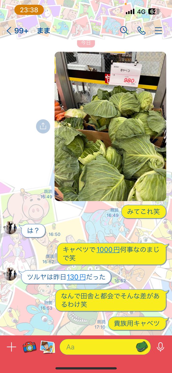 キャベツが高すぎてママにLINEしたら､田舎と都会の物価の違い突きつけられた😀