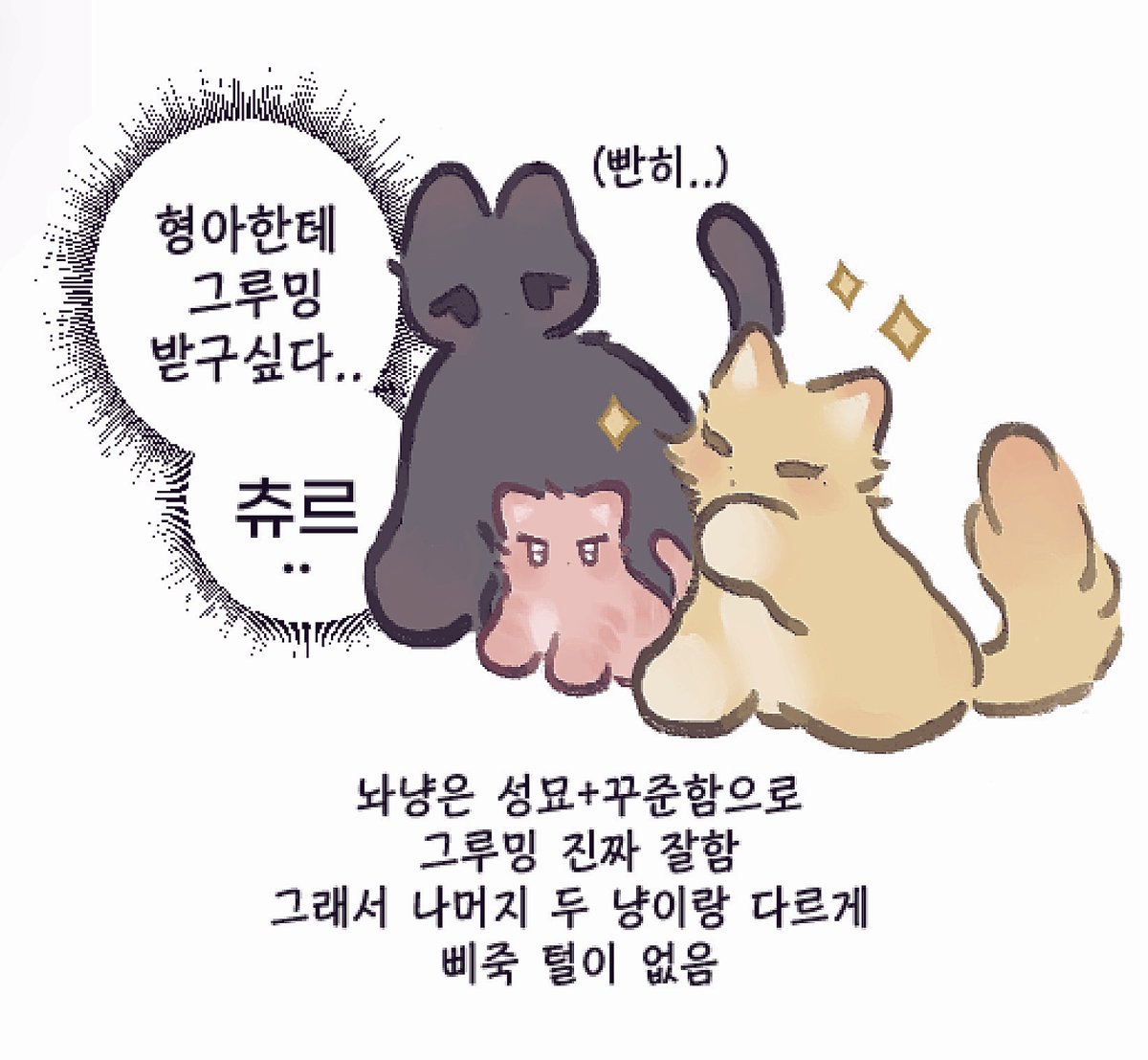 #PLAVE #플레이브 
🧀대장냥이 등장