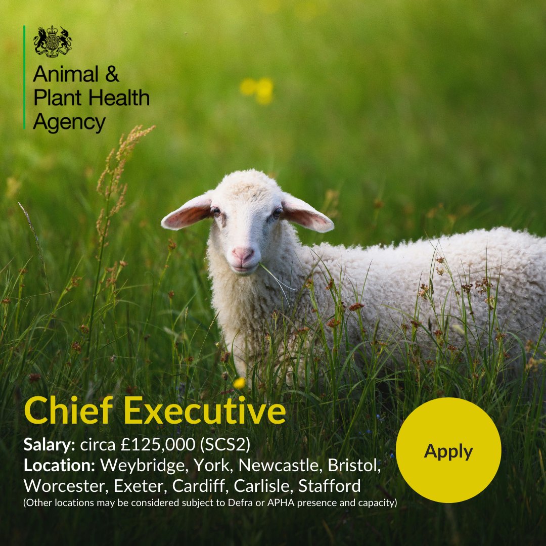 NEW OPPORTUNITY @APHAgovuk 

The Agency are looking to a new CEO to shape how they can best respond to new opportunities as well as delivering their ambitious transformation programme.

To learn more, visit tinyurl.com/29bdfzes

#CEO #PlantHealth #AnimalHealth