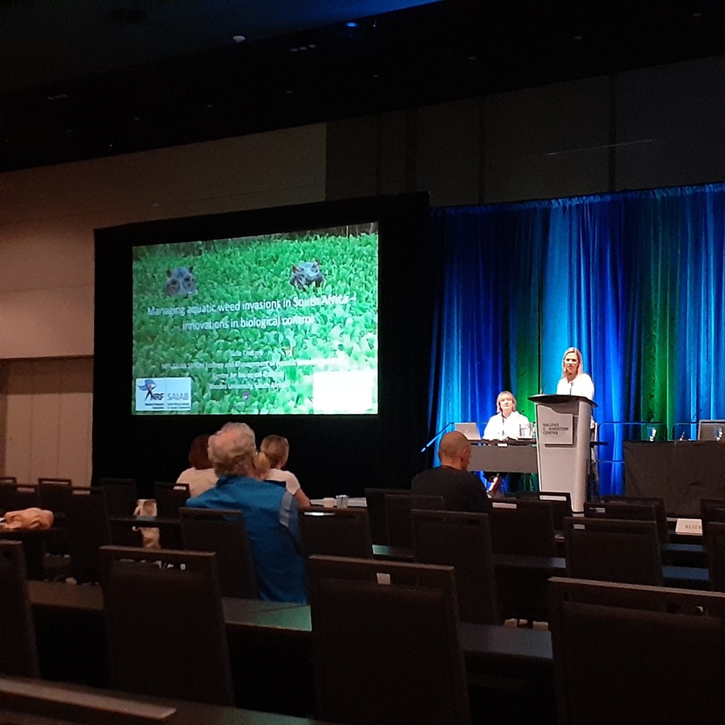 This morning, our first plenary speaker, Julie Coetzee, presented ‘Managing aquatic weed invasions in South Africa - innovations in biological control’ discussing the use of augmented biocontrol to manage invasive water hyacinth in South Africa. #ICAIS2024