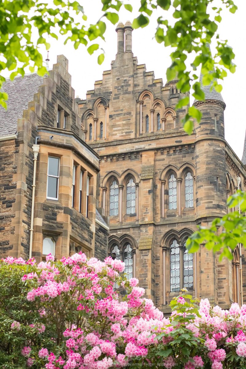 'This is what springtime looks like at UofG' ❤️🌸 📸 @asstheticssss