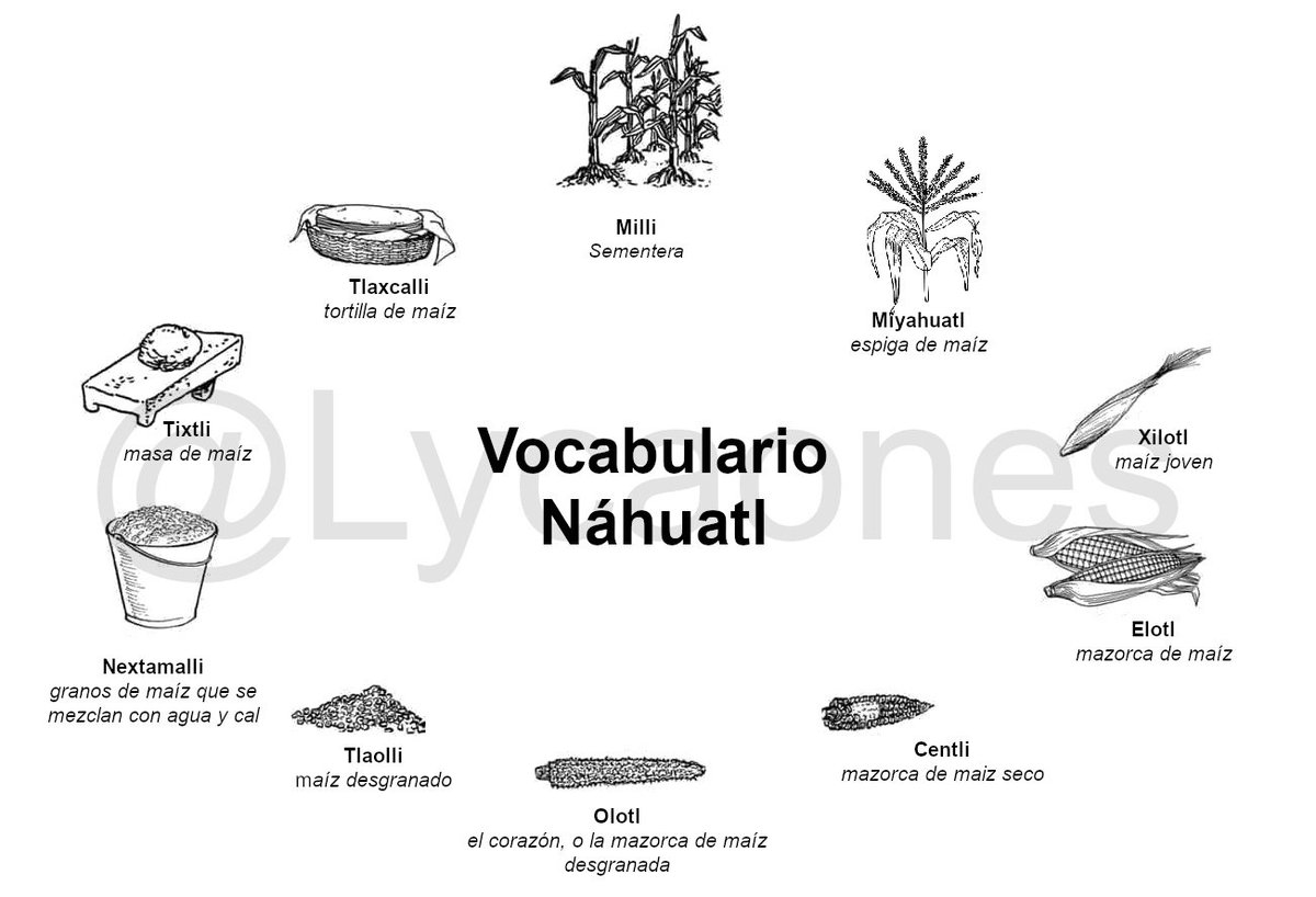 Vocabulario #náhuatl