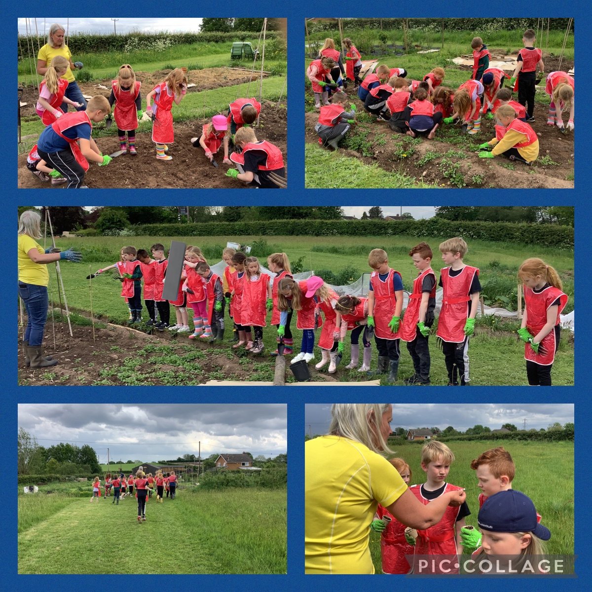 Year 2 all enjoyed their afternoon at the Kitchen Garden. Their jobs included checking what they had planted last week, propagating house leeks, lots of weeding and even planting herbs and sweetcorn! #llpspd