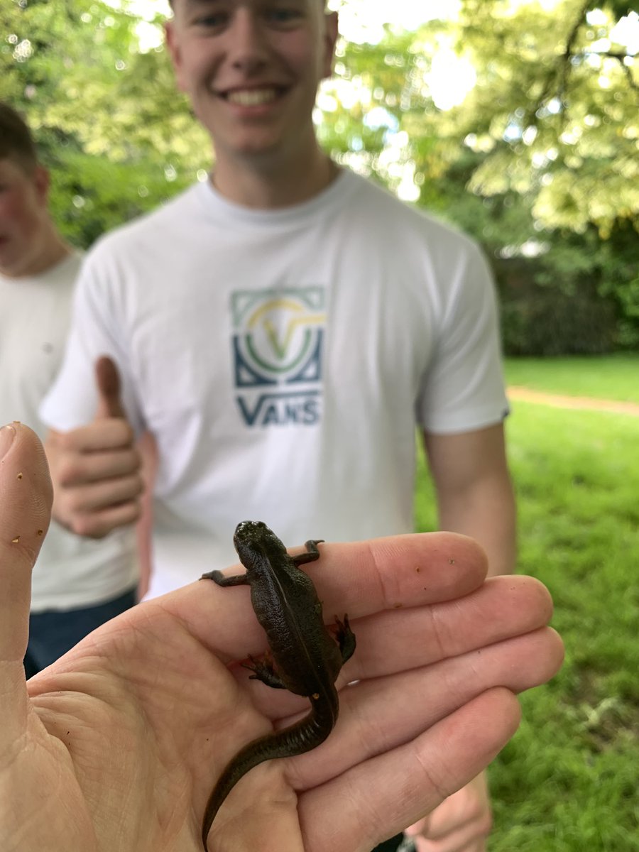 Year 12 students dipping in our brand new pond. The newts have arrived already! 
<a href="/kingdownschool/">Kingdown School</a>