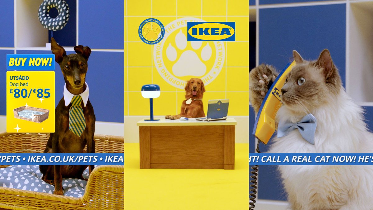 Ikea created a ‘Pet Shopping Network’ for a TikTok livestream: tinyurl.com/4x2hpcbr