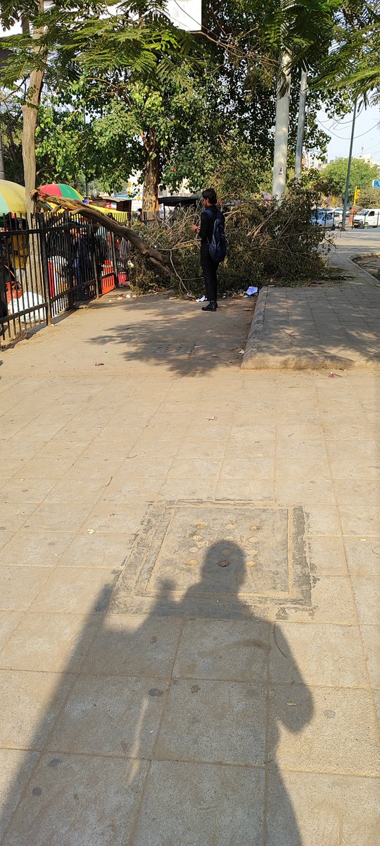 KeshavC1988's tweet photo. Good Afternoon😊
Delhi Chhaturpur Metro Station One Tree Bite Cleaning Plz.. 
@MCDdelhi @DelhiPwd https://t.co/OlHshkpiXk