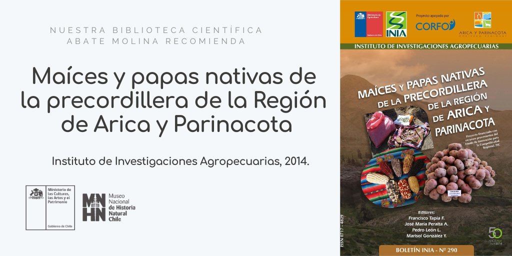 📚 Nuestra Biblioteca Científica recomienda esta semana el Libro “Maíces y papas nativas de la precordillera de la Región de Arica y Parinacota” del @iniachile , publicado en la serie Boletín INIA N° 290. Pueden encontrar este libro acá 👉🏻 tinyurl.com/mph9tj3w