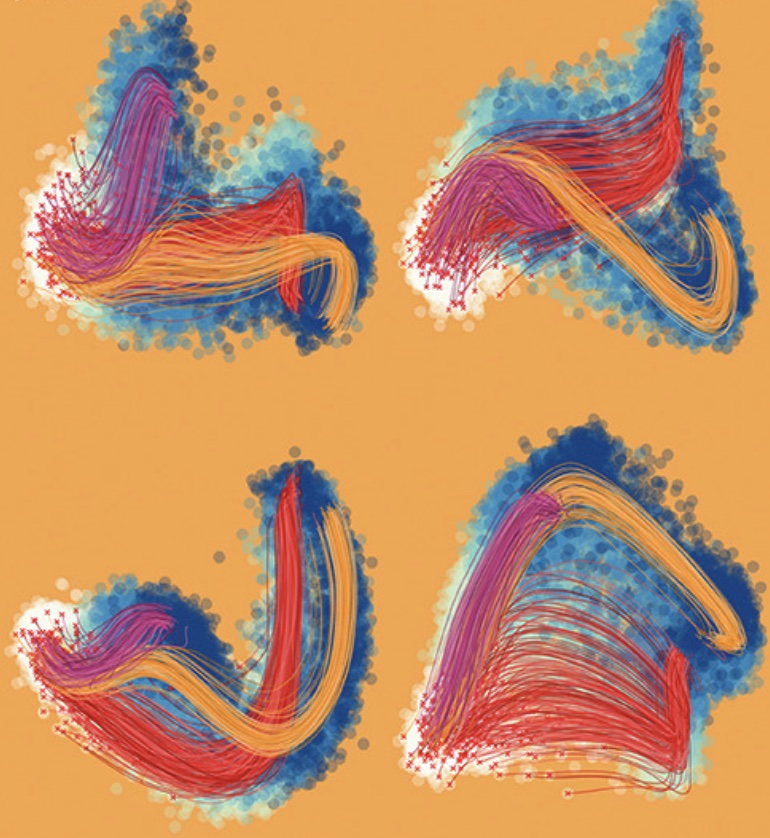 James Briscoe (@briscoejames) on Twitter photo Our latest: an integrated experimental & computational framework for dynamical modelling of gene expression with time-resolved single-cell transcriptomics using metabolic labelling of RNA
by <a href="/rorymaizels/">Rory Maizels</a> et al
cell.com/cell-systems/f…
🧵 Our latest: an integrated experimental & computational framework for dynamical modelling of gene expression with time-resolved single-cell transcriptomics using metabolic labelling of RNA
by <a href="/rorymaizels/">Rory Maizels</a> et al
cell.com/cell-systems/f…
🧵