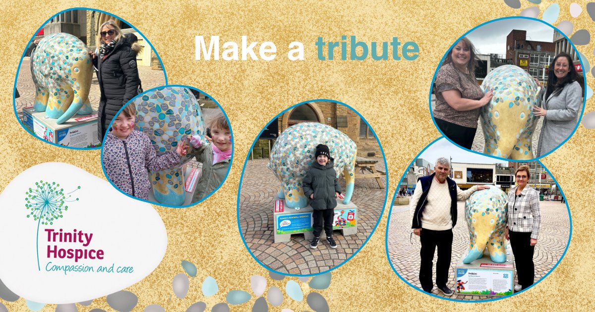 Would you like to put a special name on our Pebbles sculpture? 

Even though are trail is now live, there are still some pebble spaces available to add name to. Each dedication is just £25, with all proceeds going to Trinity Hospice. 

Find out more at: trinityhospice.co.uk/memory-elmer/