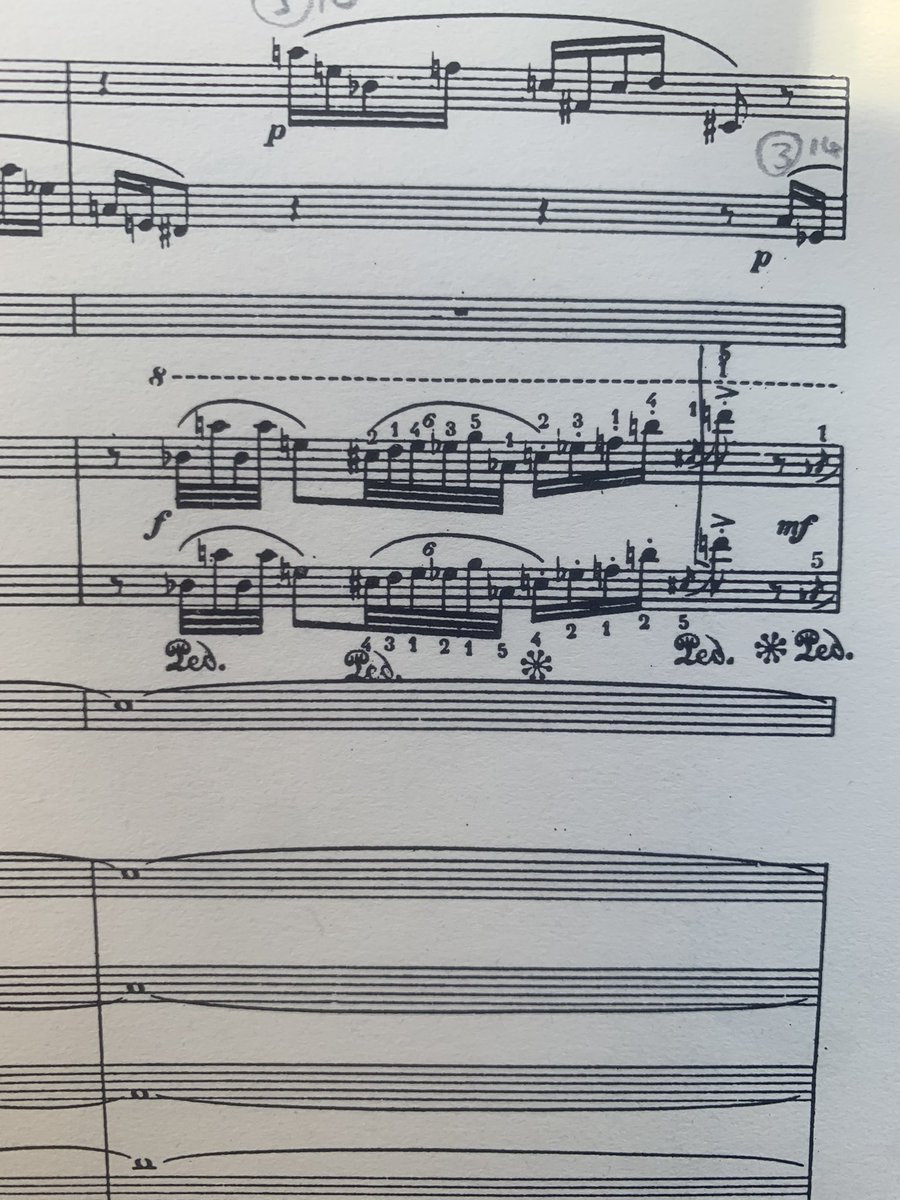 tfw you’re working on a Messiaen score featuring the song of a blackbird, and a blackbird starts singing in the garden