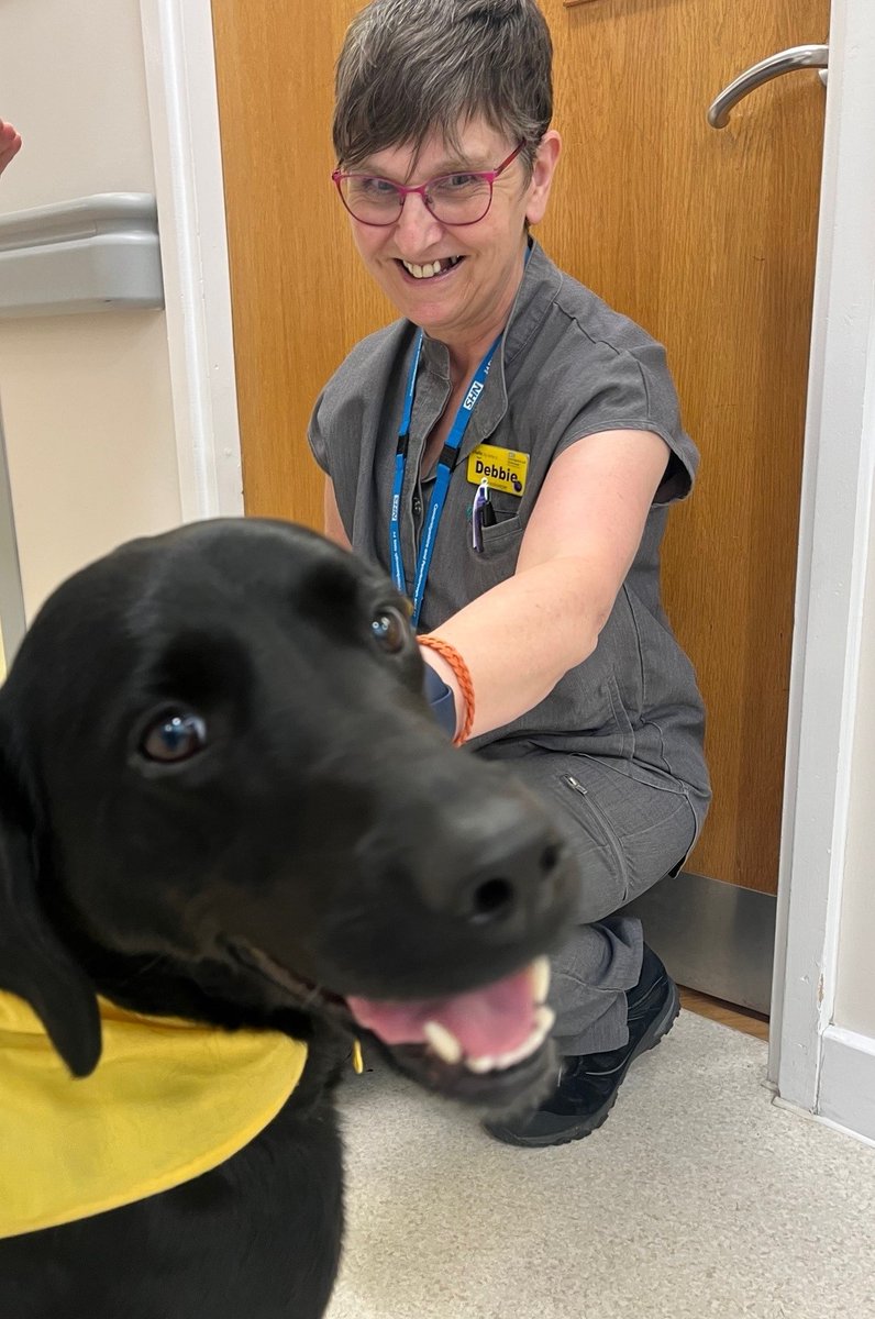 CPFT (@cpft_nhs) on Twitter photo We’re incredibly grateful for the support of our volunteers – especially the canine ones!
<a href="/CpftVolunteers/">CPFT Volunteers</a> 🐕🦺💙 We’re incredibly grateful for the support of our volunteers – especially the canine ones!
<a href="/CpftVolunteers/">CPFT Volunteers</a> 🐕🦺💙