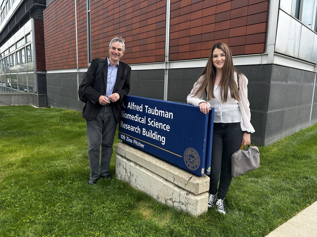 Anne McArdle tweet media