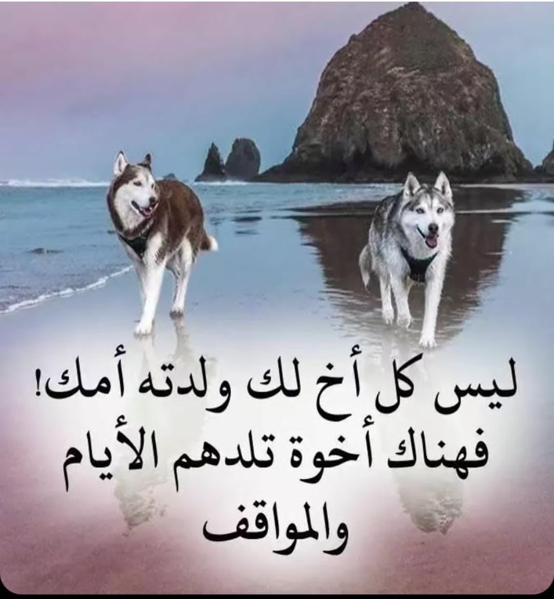 "إنّ اللياليَ قد قالت وقد صدقت
إن الجِراحَ جِراحُ الروحِ.. لا الجسد".