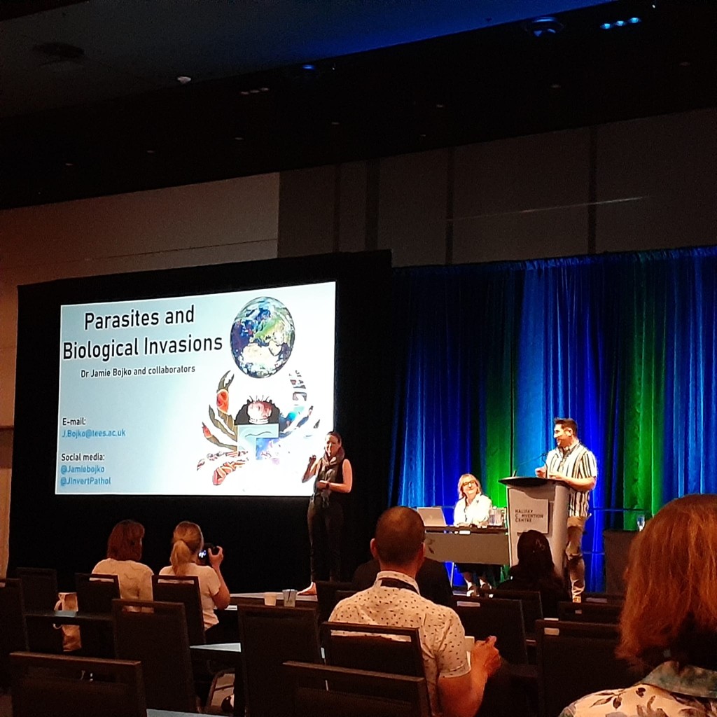 Our second plenary speaker this morning, Jamie Bojko, presented ‘Parasites and biological invasions’ on the ecological and economic impacts of parasites carried by invasive species such as the European green crab (Carcinus maenas). #ICAIS2024