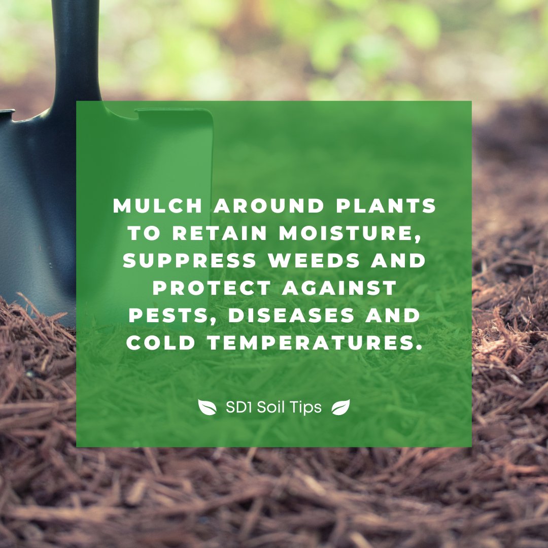 Mulching around your plants is a game-changer! Not only does it help retain moisture in the soil (= less watering!), but it also helps prevent pest problems and erosion.

#Stormwater #GardeningTips