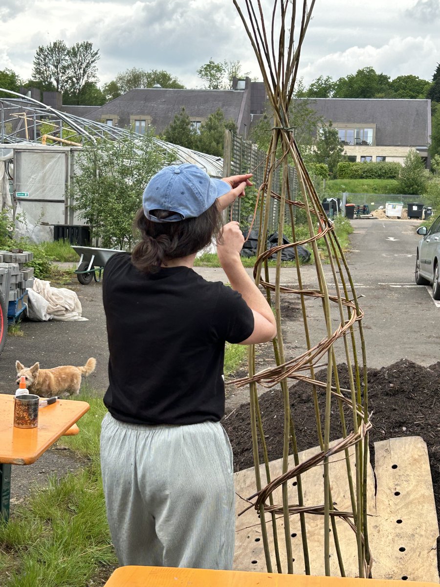 At the @locavorecic Bellahouston Plots while we were weaving beautiful obelisks for beans to climb. There are still two spaces for another obelisk session from Max at The Wash House Garden on Friday 2-4, email JennyMac_gcfn@outlook.com to book a spot!
