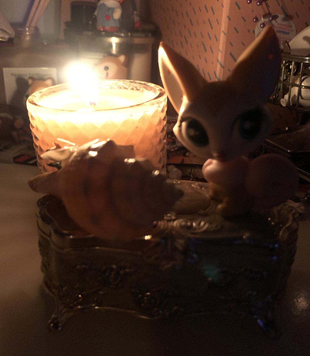 bin bean 🫘 𓇢𓆸 tweet media