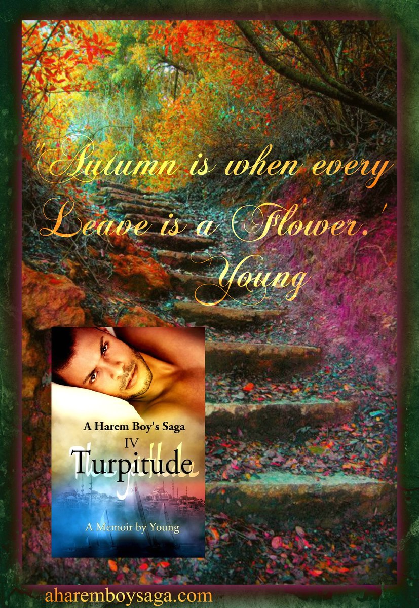 Unique & thought-provoking! TURPITUDE MyBook.to/Turpitude is the 4th book to a sensually enlightening true story about a young man coming-of-age in a secret society & a male harem. #AuthorUproar #BookBoost