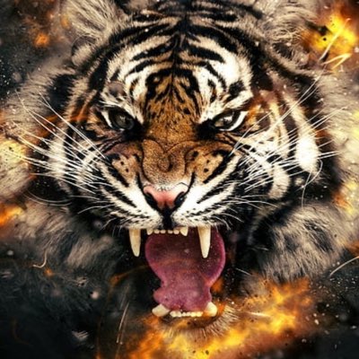 #NewProfilePic