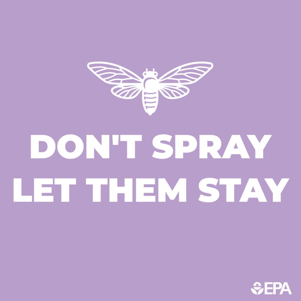Let them be. Applying pesticides will likely be ineffective in keeping cicadas away, and could harm other organisms, pets, or people in your yard and home. epa.gov/safepestcontro…