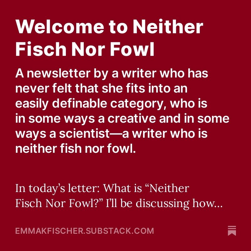 Emma_Is_Writing's tweet photo. I started a newsletter!! Check out my post https://t.co/TYxfPjqRdX to see what I’ll be writing about! https://t.co/iJfFYThso6