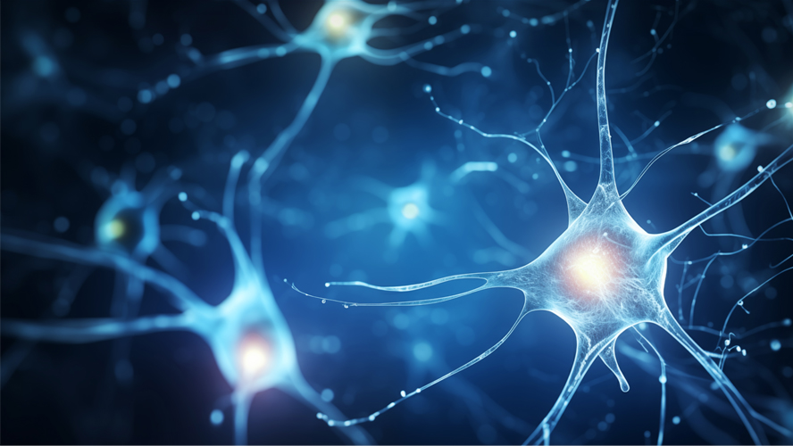 Researchers at @UHN's @KBI_UHN used mathematical models to uncover the complex interactions between amyloid-β protein and neuron hyperactivity, unveiling promising pathways for early diagnosis and intervention of #Alzheimers. > uhnresearch.ca/news/alzheimer…; doi.org/10.1016/j.nbd.…