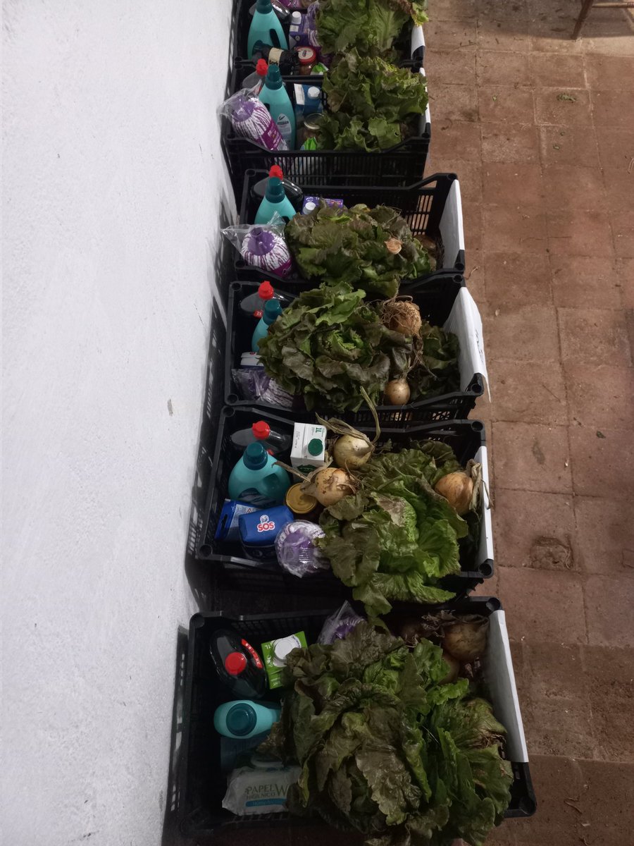 alimentsmaresme's tweet image. Una setmana més la nostra xaxa de col·laboradores ens permet  repartir  el cabàs de #CalComú de #Cabrils
Gràcies al banc d'aliments de @Mercabarna_mb, @lanau_org,  @espigoladors, @irtacat i #federacioSelmar
 @tweetplanetario @ajcabrils @cpatzari