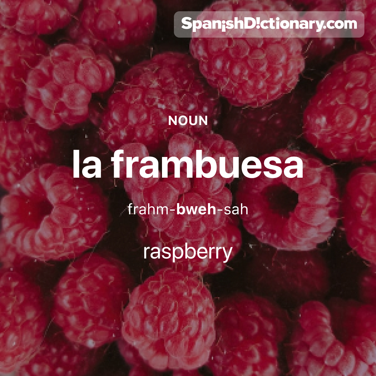 Today's #WordOfTheDay is 'frambuesa.' 🍓 For example: ¿Te gusta echarle frambuesas al yogur? - Do you like adding raspberries to yogurt?
.
.
.
#EstudiaEspañol #StudySpanish #AprendeEspañol #LearnSpanish #Español #Spanish #LearningSpanish #PalabraDelDia #frambuesa #raspberry