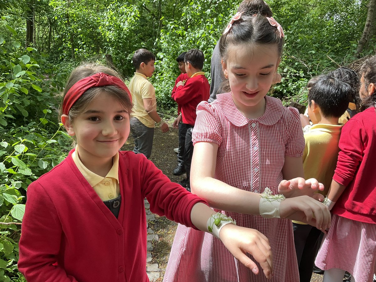 Year Three Phoenix Primary tweet media