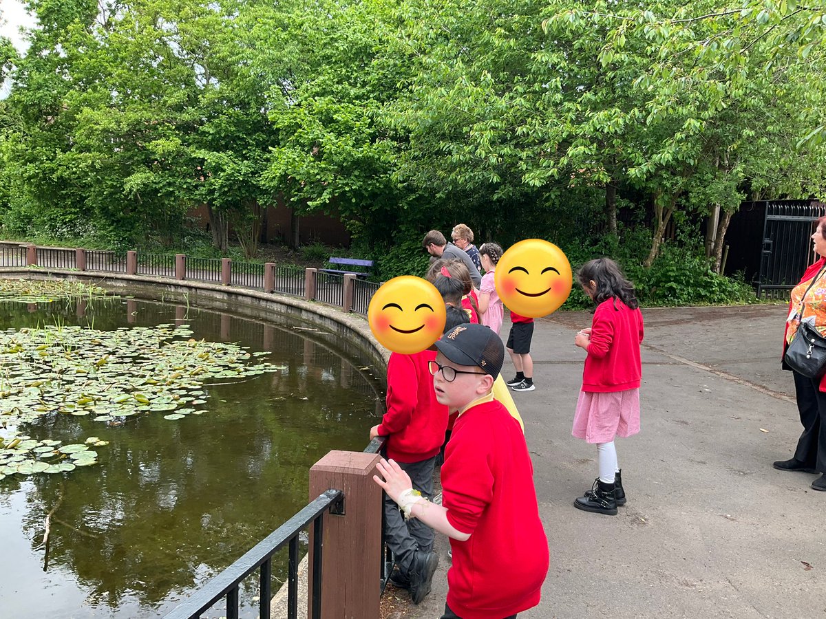 Year Three Phoenix Primary tweet media