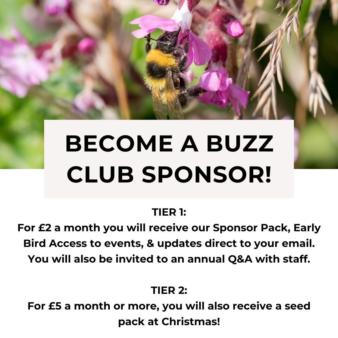 Become a Sponsor! To make this community as accessible as possible, our projects are designed to be free to undertake. This means we rely on donations from supporters for staff pay, equipment & everything else. We have updated our sponsor options! alumni.sussex.ac.uk/Buzz_Club_Givi…