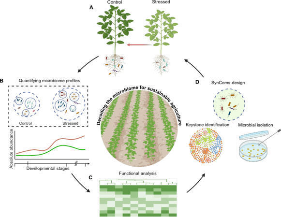 Very good review -> Decoding the microbiome for sustainable agriculture sco.lt/8UpD60