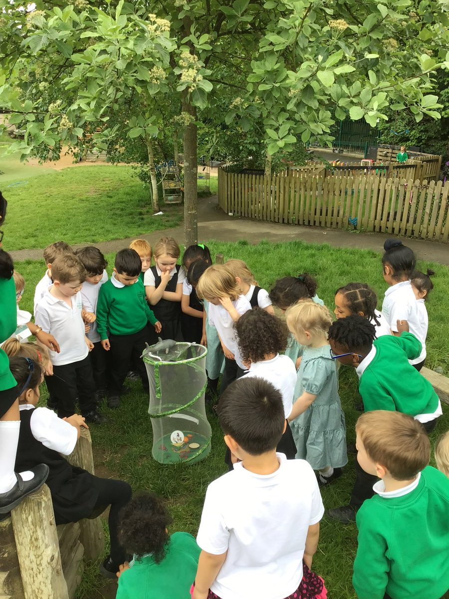 Reception have loved watching our butterflies emerge from their chrysalis’ but today it was time to release them into nature! 🦋🌳☀️🩷 #weareroundhay #eyfs #playislearning #science #thenaturalworld