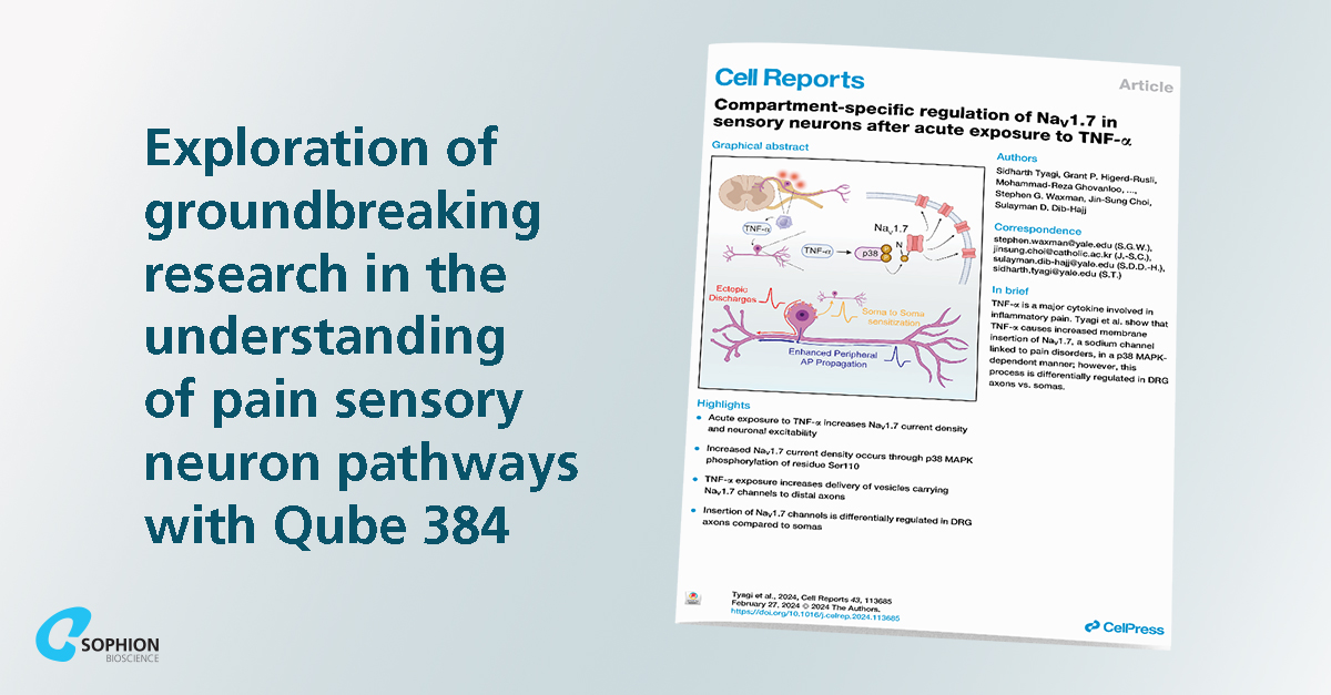 In a recent paper Sidharth Tyagi et al. show the effects of the pro-inflammatory #cytokine TNF-alpha on dorsal root ganglion neuron NaV1.7 expression using @sophionbio's #Qube384. Read the paper here: sophion.com/publications-d…