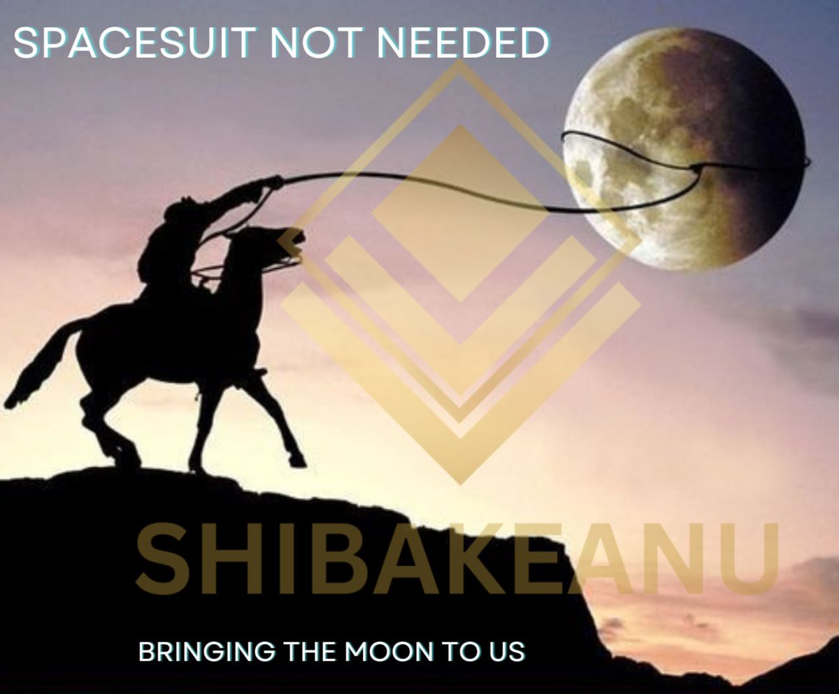 Ready to join the ShibaKeanu revolution? Strap in, because we're bringing the moon to us! Go $SHIBK Fam!

#cryptocurrency #memecoinseason #crypto #investing #bitcoin #nft #business #binance #bitcointrading #bitcoincash #shiba #doge #ethereum #altcoins #luxurycars #property