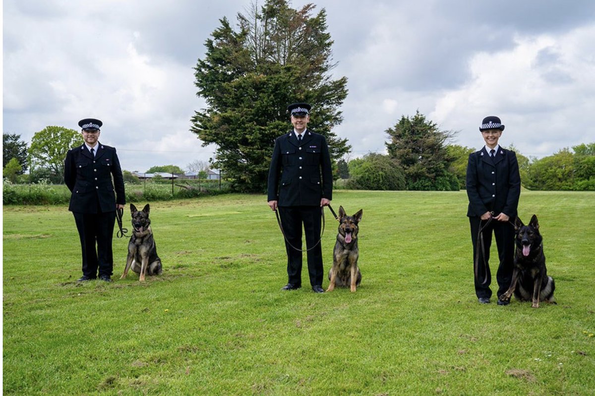 Pawsome - Congratulations to the new police dogs @EssexPoliceUK 
orlo.uk/7pnT7