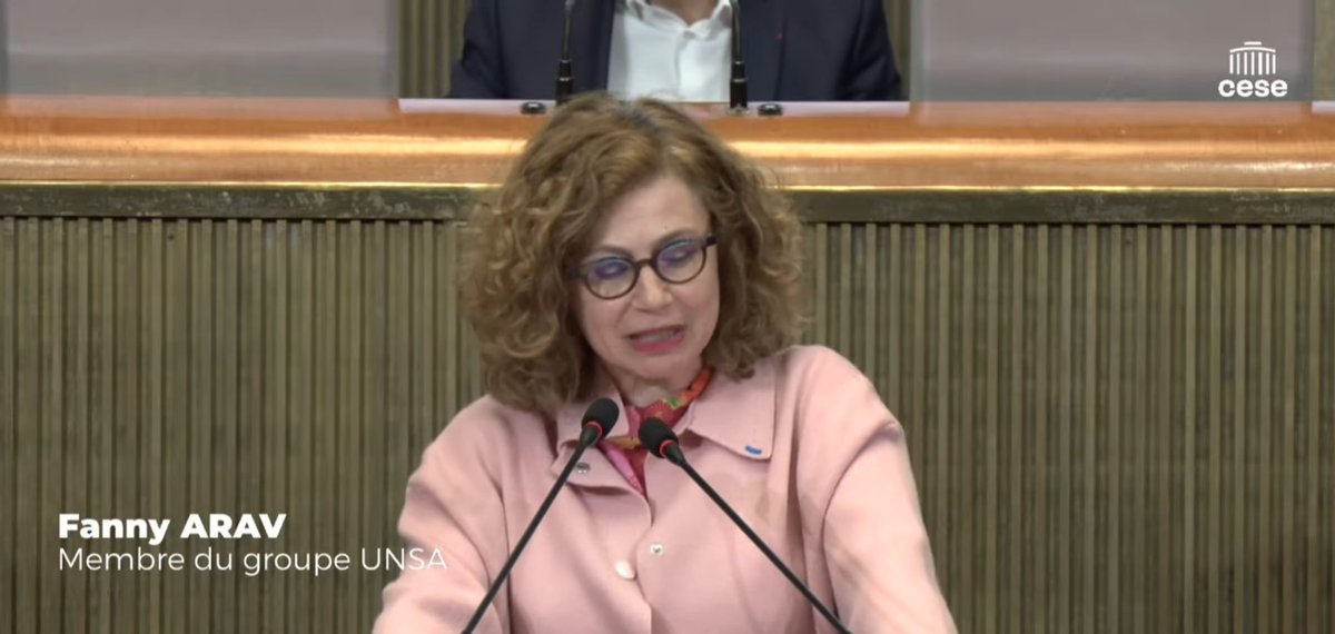 unsa_cese's tweet photo. .@AravFanny intervient a @lecese sur l’avis « mobiliser les acteurs de l’emploi et du travail pour réussir la planification écologique » #directCESE https://t.co/ChGwPpGw5g