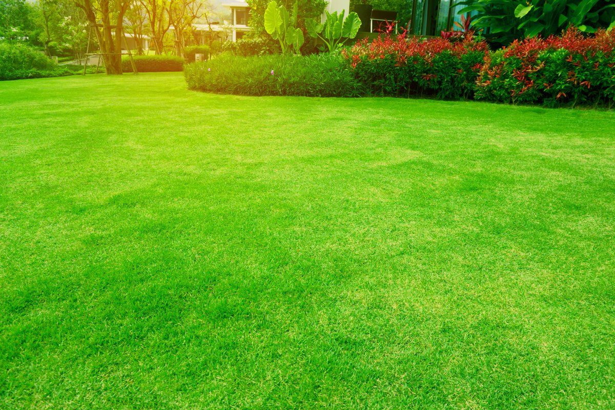 Revamp your commercial space with the low-maintenance solution of artificial turf. Save time, money, and resources while maintaining a professional look. Upgrade to artificial turf today. #commercial #artificialturf #businesssolutions