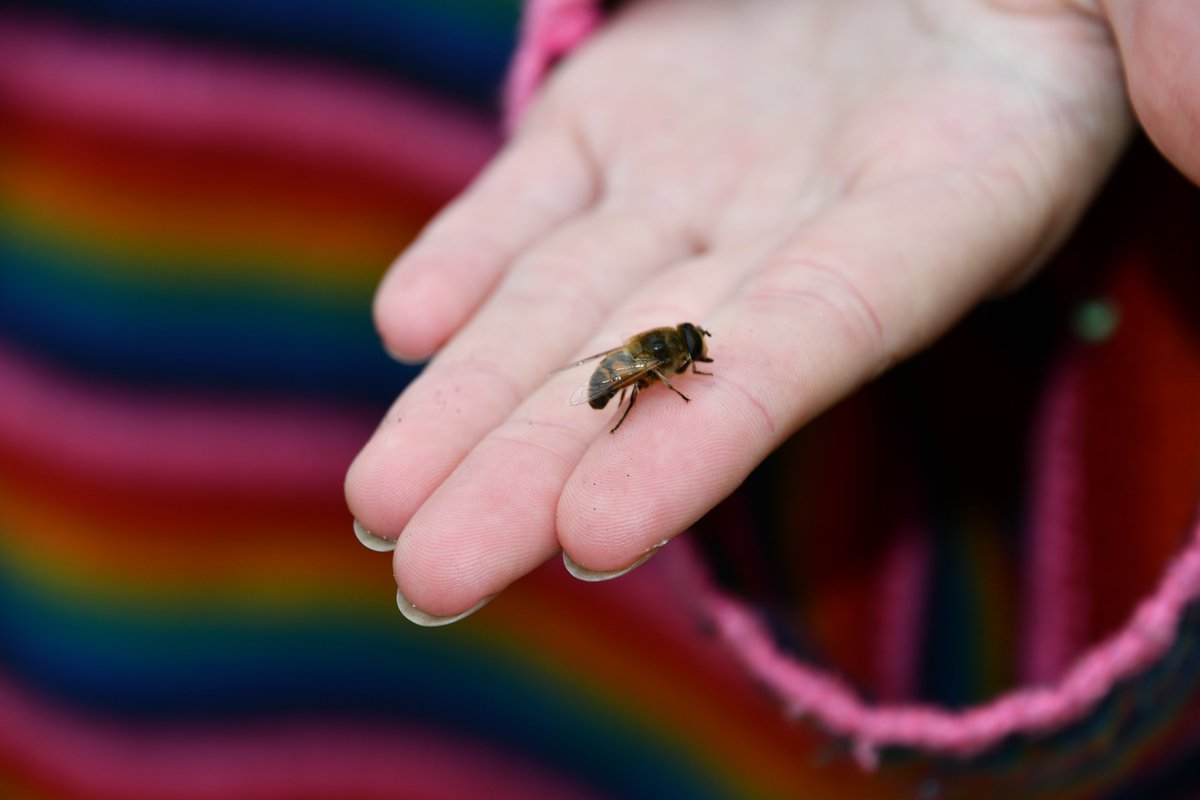 18-25 year olds can apply for a 90% subsidised, Darwin-inspired scholarship offering environmental education and support at Wilder Doddington.

In partnership with @FieldStudiesC and supported by @HeritageFundUK.

Apply by 2 June 2024: ow.ly/wa4X50RgB6V

#scholarship