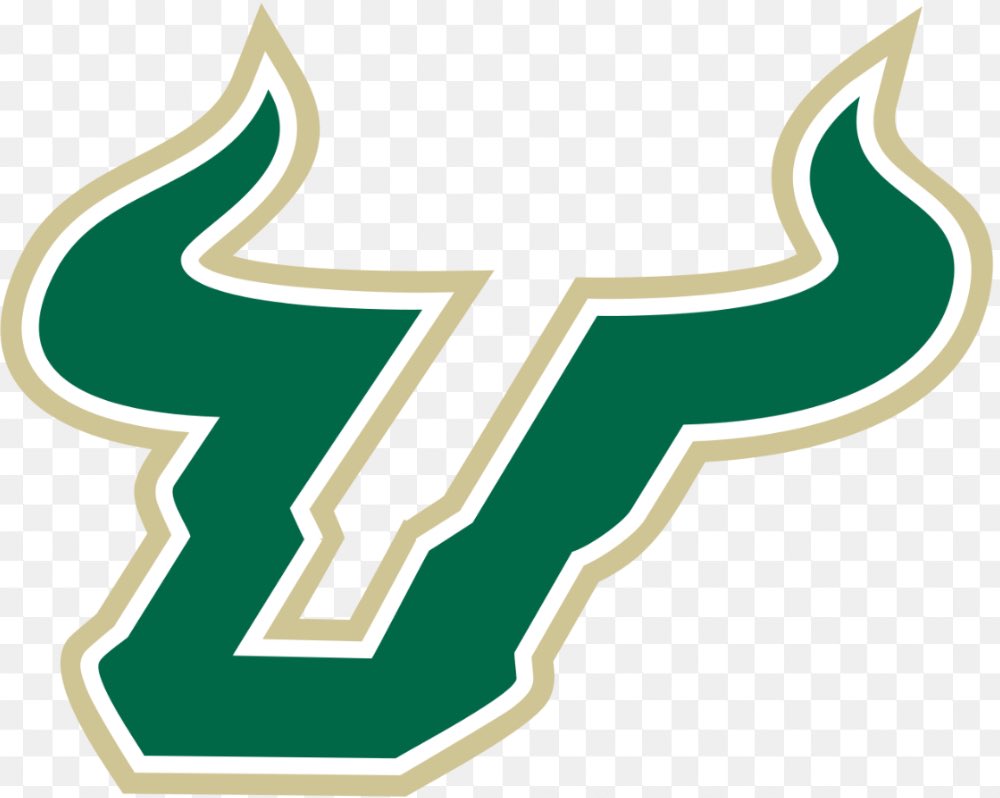 Blessed to receive an offer from the University of South Florida! @CCPackersFball @CoachHoodie @CoachHoon @BryceGiddens @247recruiting @On3Recruits @ChadSimmons_ @SWiltfong_