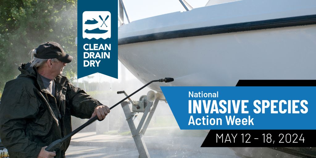 Protect our waters! 
Invasive species like whirling disease and zebra mussels can devastate aquatic ecosystems. Clean, Drain, and Dry your watercraft and gear to prevent the spread and keep our waterways thriving!
eu1.hubs.ly/H0960tY0
#cleandraindry
#NISAW