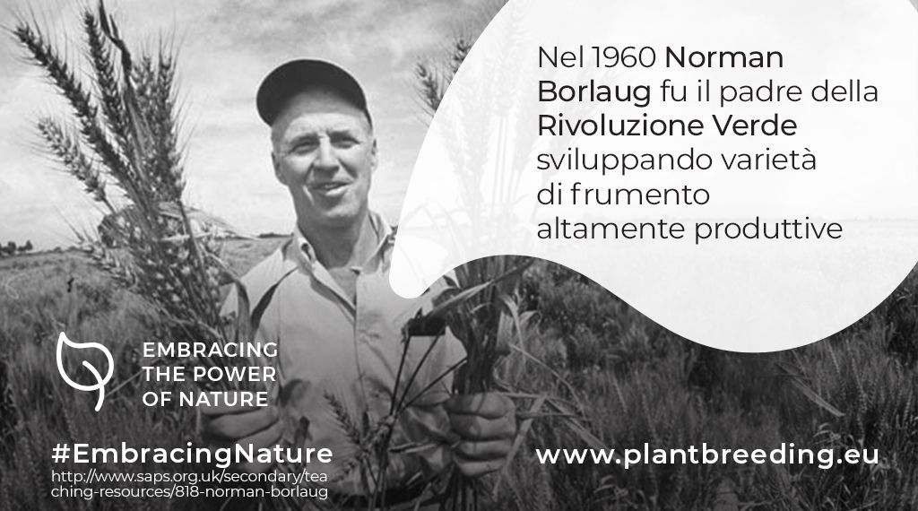 Norman Borlaug nel 1960 fu il padre della Rivoluzione Verde e sviluppò l’#InnovazioneVegetale

#EmbracingNature