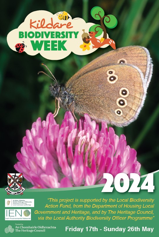 Kildare Biodiversity Week will be taking place from Friday 17th to Sunday 26th May. The event booklet for County Kildare has been compiled by the Heritage Team in Kildare County Council, and is available shorturl.at/fl248 @IrishEnvNet @HeritageHubIRE