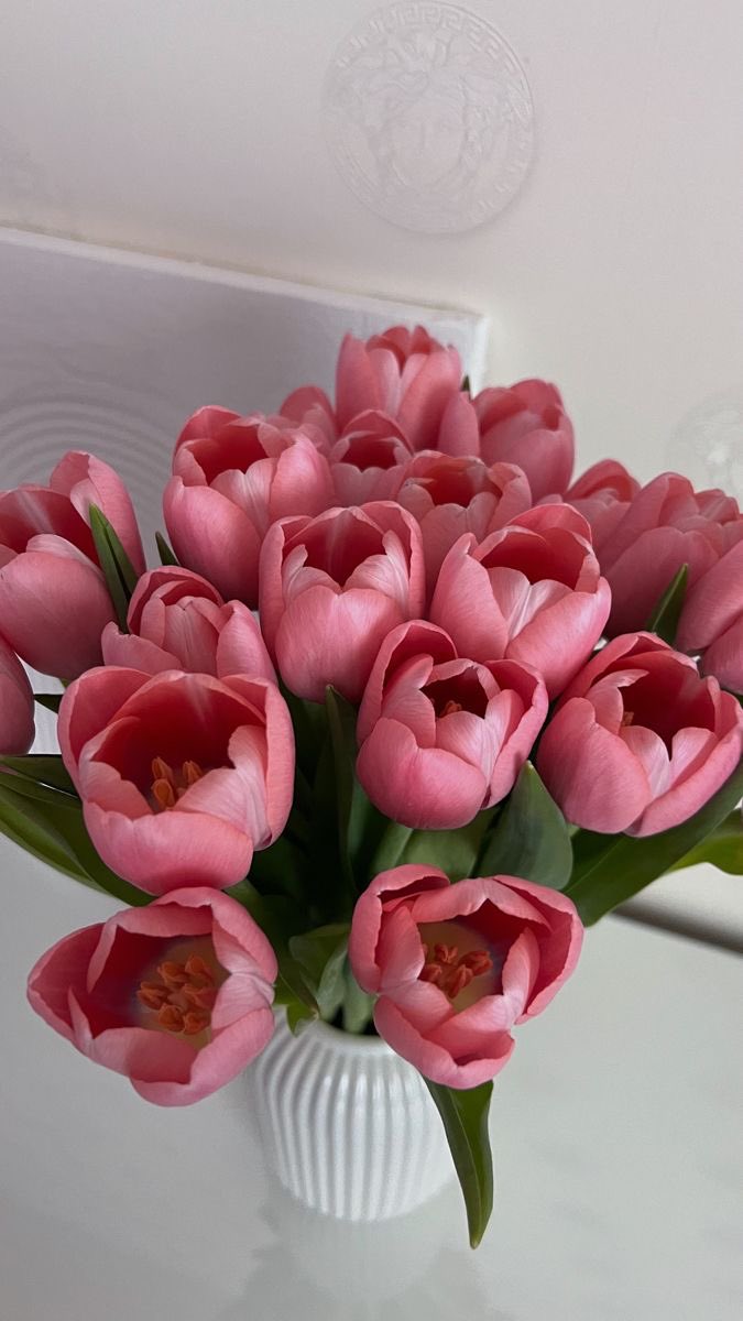 لكل متصل الآن

صل علي النبي ومررها للأجر♥️