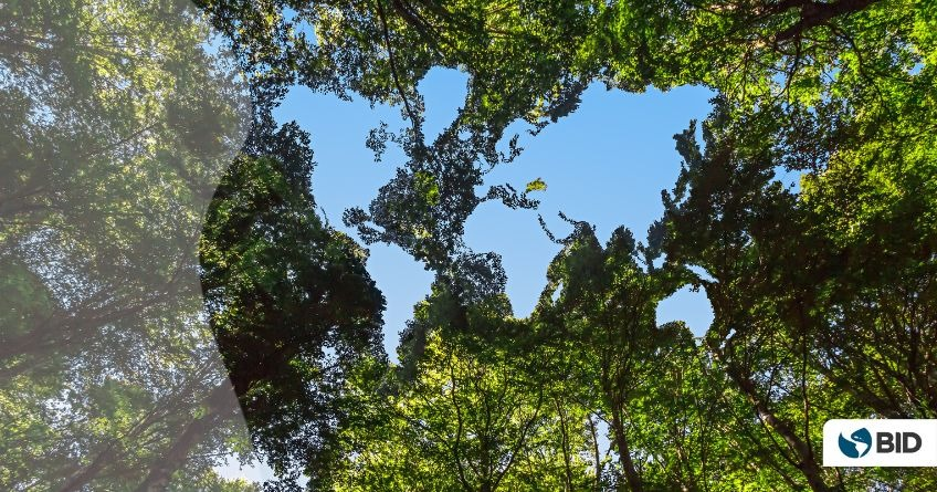 Miguel Coronado Hunter tweet media